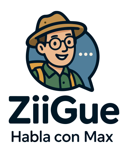 ziigue.com